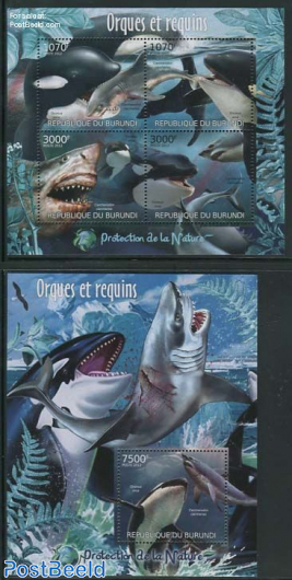 Sharks, Orca 2 s/s