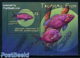 Tropical fish s/s, psendanthias tuka