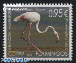 Flamingo 1v