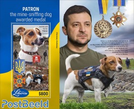 Patron, the mine-sniffing dog awarded medal