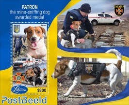 Patron, the mine-sniffing dog awarded medal
