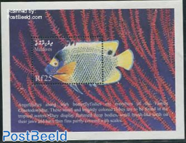 Blue-faced Angelfish s/s