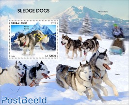 sledge dogs