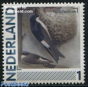 Birds 1v, Delichon urbicum