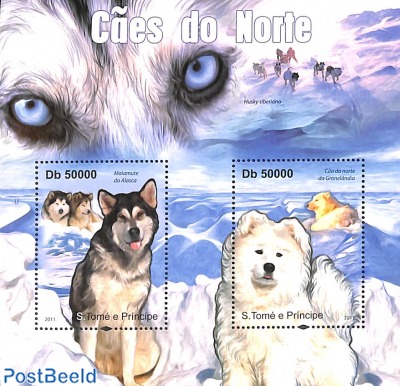 Polar dogs s/s